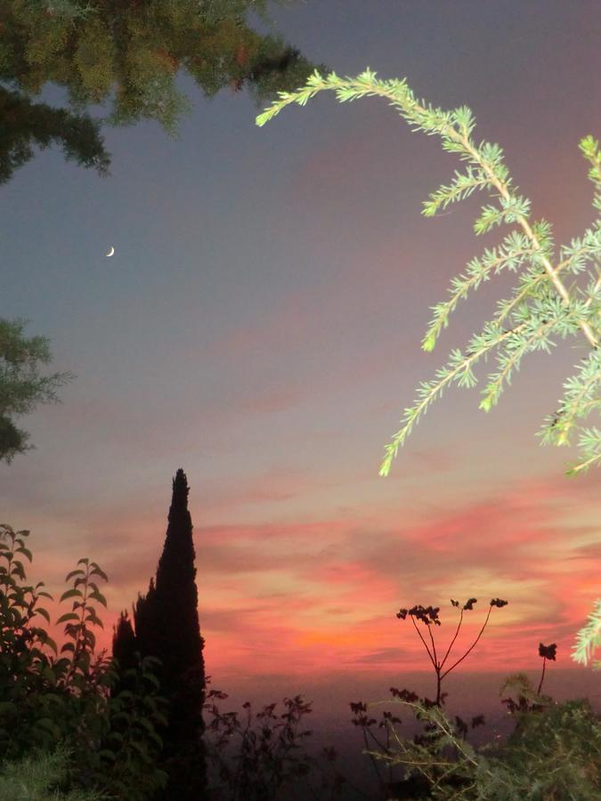 Il Giardino Di Alisa Bed & Breakfast ติโวลี ภายนอก รูปภาพ